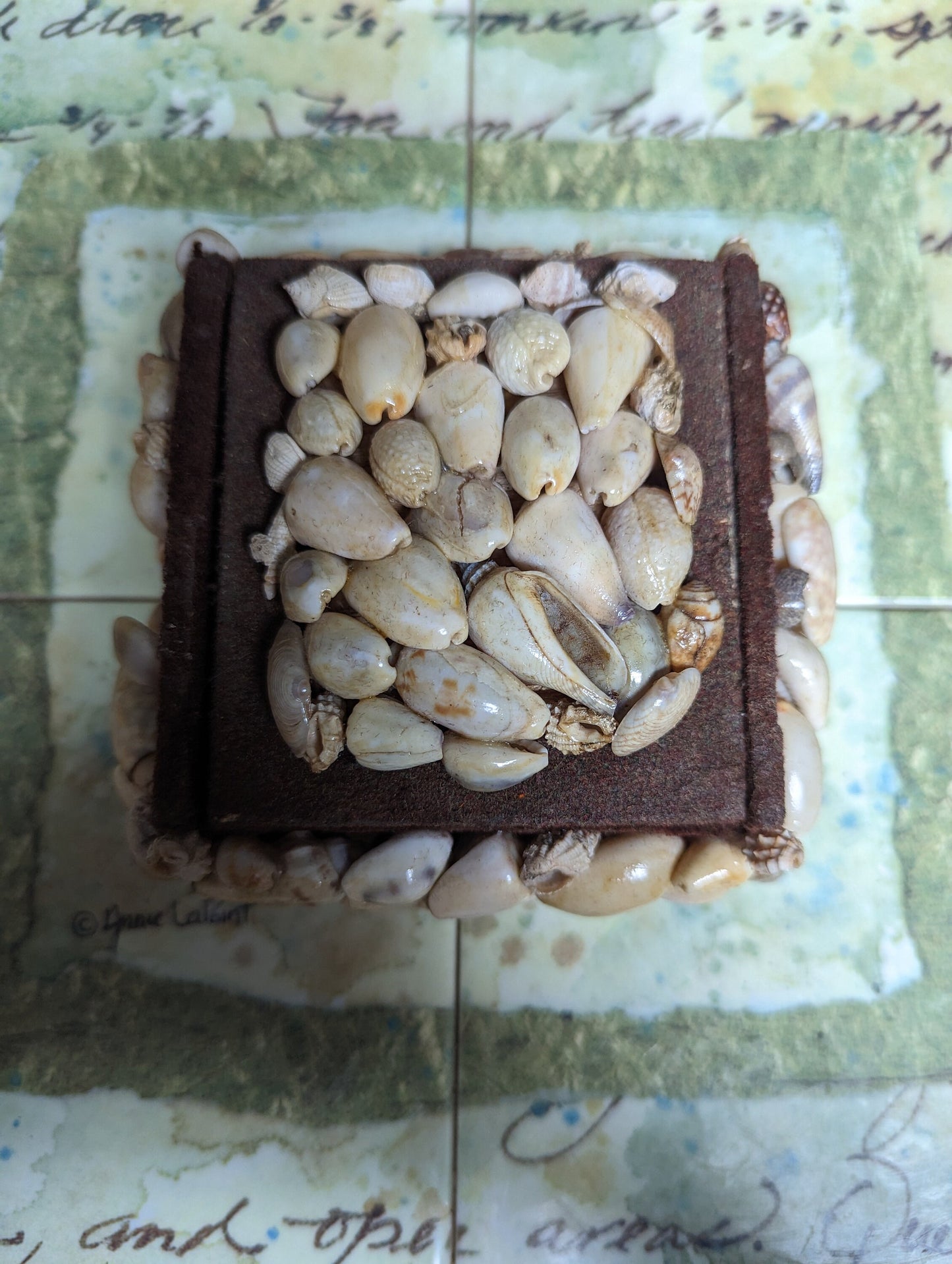 Vintage Seashell Coaster Set