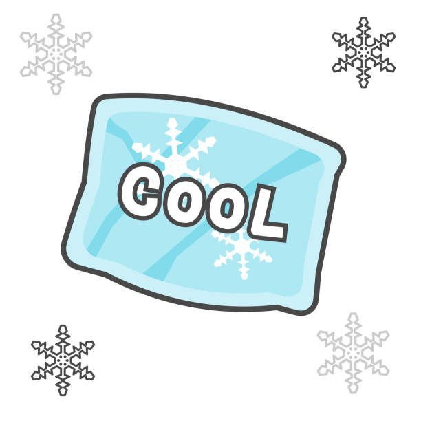 Ice Pack ADD ON (Recommended for Warm Weather Honey Pop Orders)