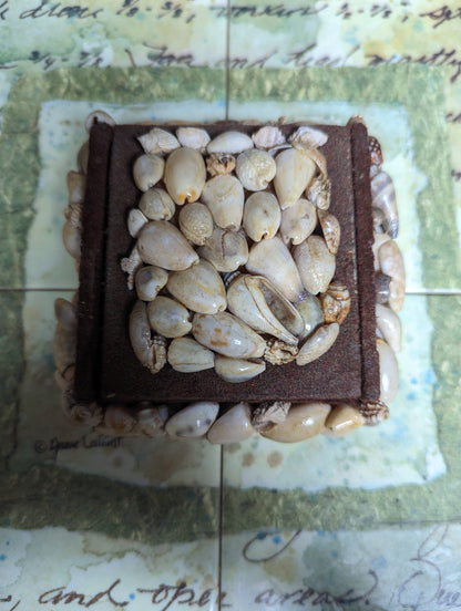 Vintage Seashell Coaster Set